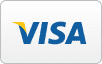 Visa Credit Card Logo